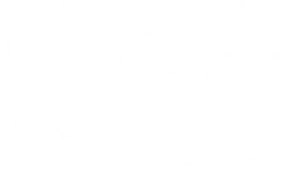 Tribeca Festival 2025 — Official Selection