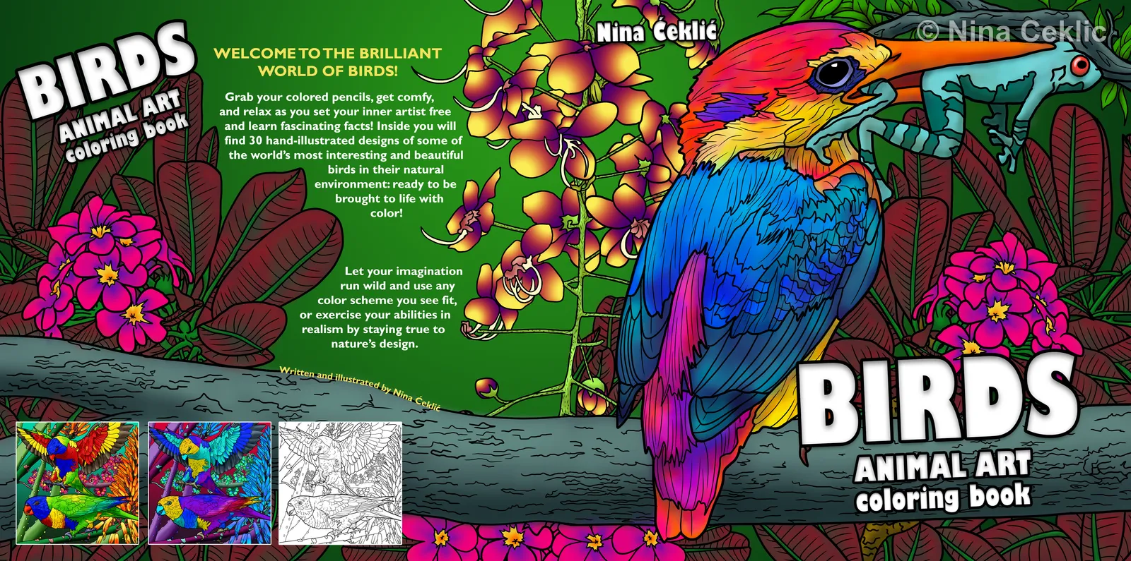 Birds of the World — Book Cover