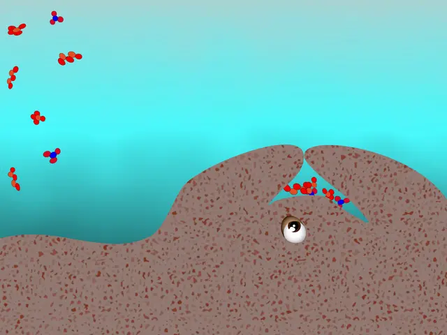 Beneath the Waves